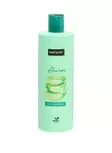 Shampoo 400ml SENCE - Kosmetiikka ja pesuaineet - 182201 - 1