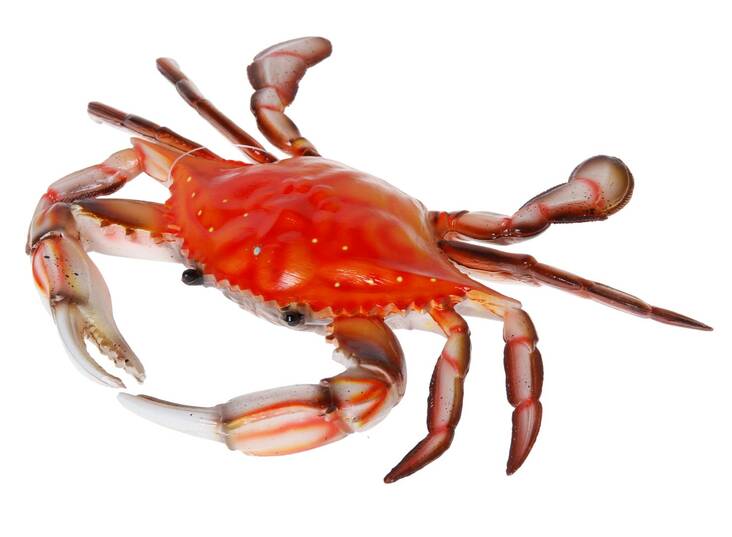 Koristerapu 20cm - Piensisustaminen - 139851 - 1