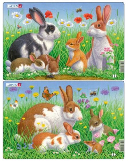 Palapeli Kanit - Palapelit - 171281 - 1