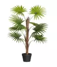 Viherkasvi Viuhkapalmu 90cm 4LIVING - Tekokukat - 185354 - 1