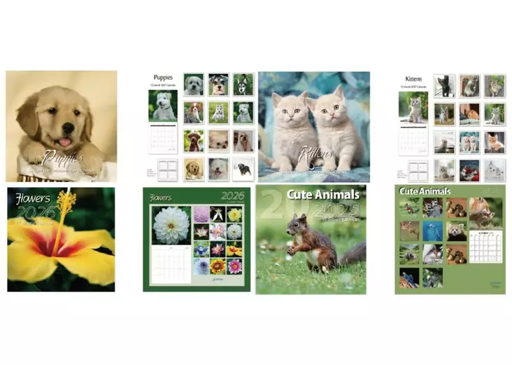 Seinäkalenteri 2027 Vuosikalenteri - Seinäkalenterit - 187934 - 1