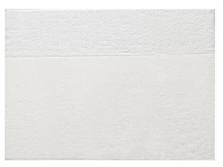 Lautasliina Dino-Dispo 33x43cm HAVI - Servietit ja lautasliinat - 169415 - 1