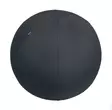Aktiivipallo 65cm LEITZ Ergo - Työtuolit - 181736 - 1