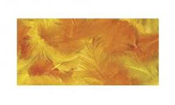 Pikkuhöyhenet 10g 3-10cm RAYHER - Askartelutarvikkeet - 150758 - 1